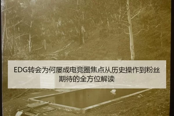 EDG转会为何屡成电竞圈焦点从历史操作到粉丝期待的全方位解读